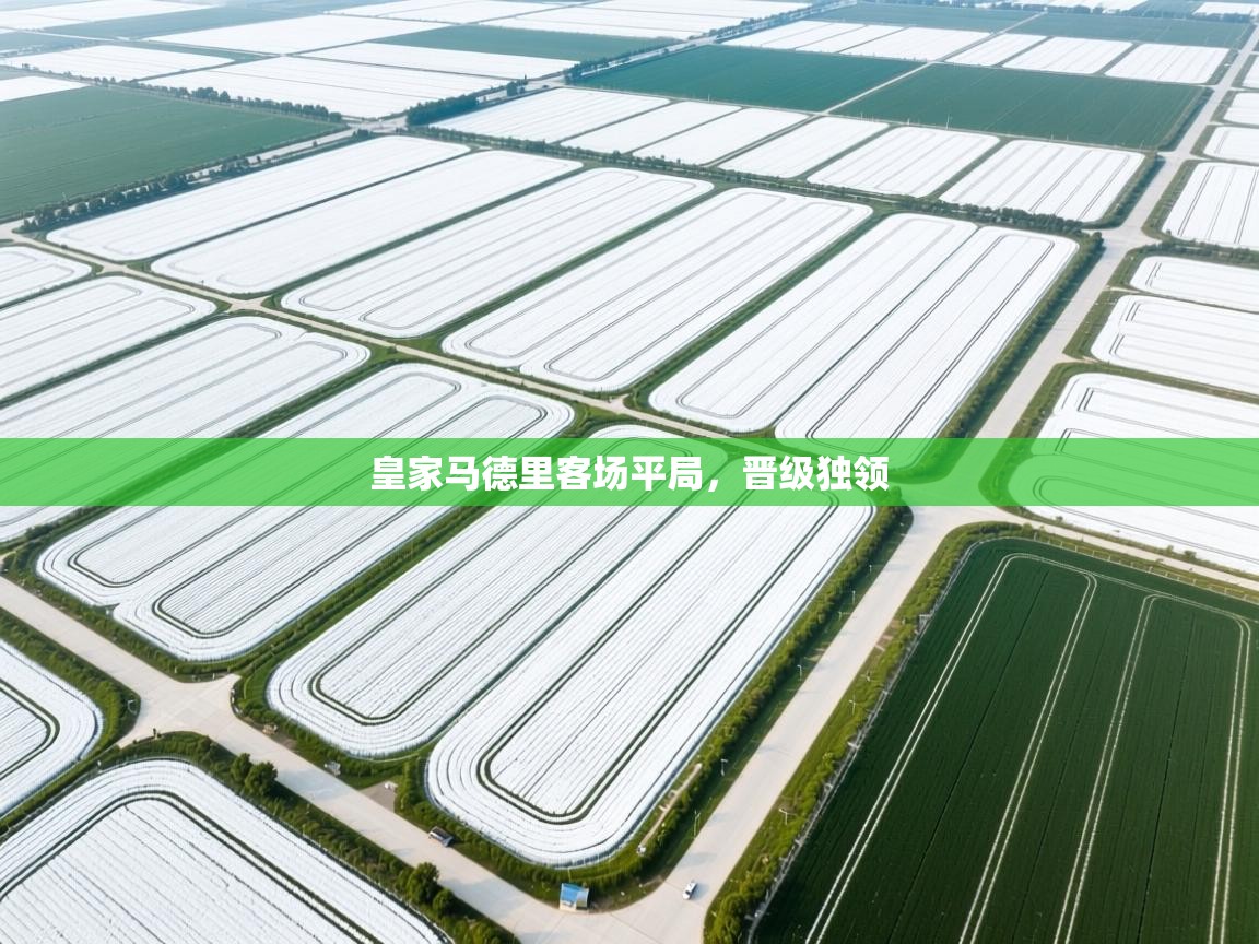 皇家马德里客场平局，晋级独领