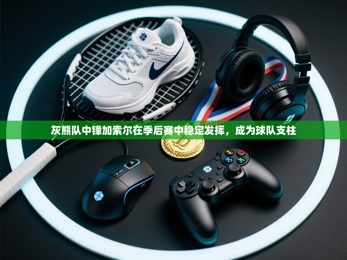 灰熊队中锋加索尔在季后赛中稳定发挥，成为球队支柱